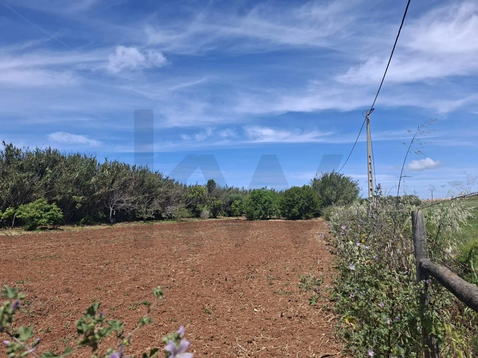 Terreno para Venda em Vila do Bispo e Raposeira Foto 12