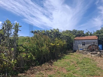 Terreno para Venda em Vila do Bispo e Raposeira
