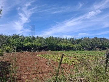 Terreno para Venda em Vila do Bispo e Raposeira
