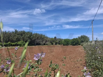 Terreno para Venda em Vila do Bispo e Raposeira