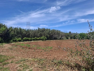 Terreno para Venda em Vila do Bispo e Raposeira