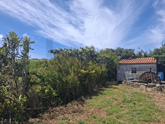 Terreno para Venda em Vila do Bispo e Raposeira Foto 10