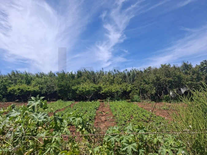 Terreno para Venda em Vila do Bispo e Raposeira Foto 7