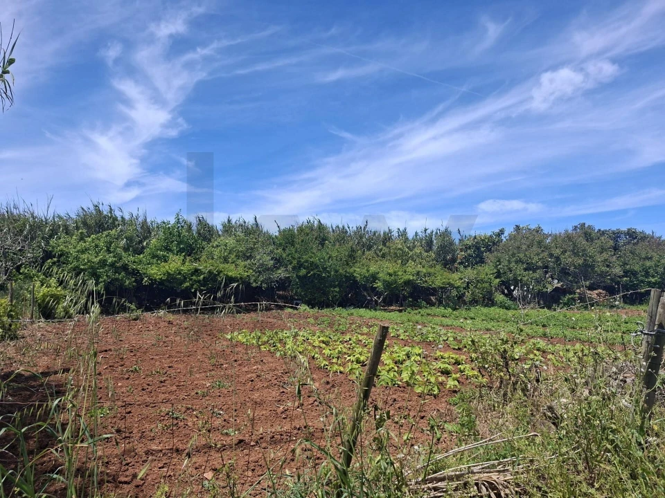 Terreno para Venda em Vila do Bispo e Raposeira Foto 16