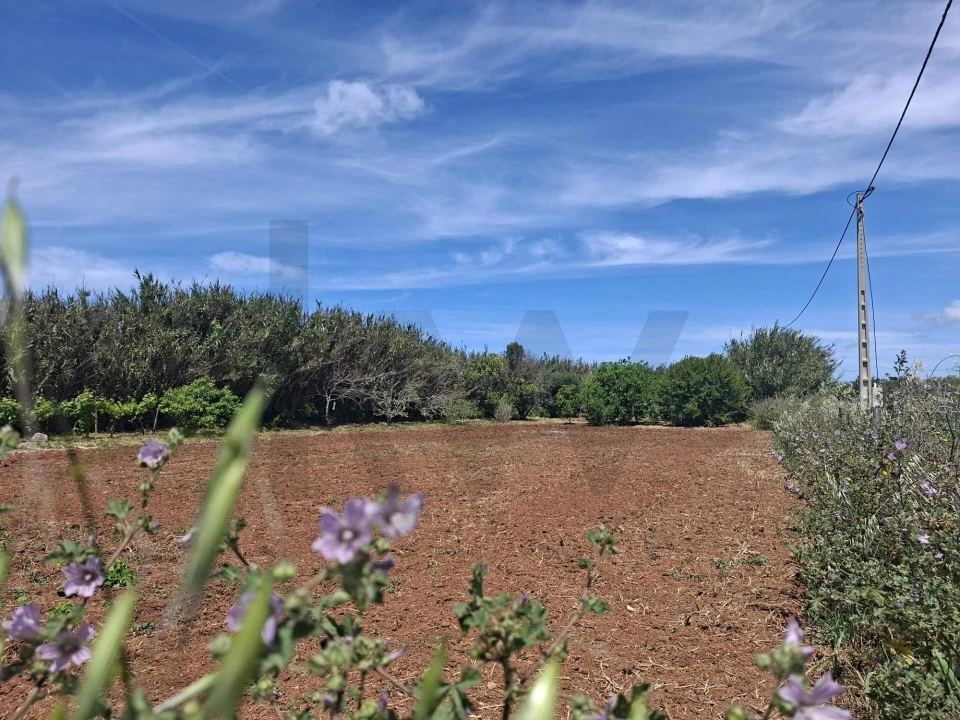 Terreno para Venda em Vila do Bispo e Raposeira Foto 13