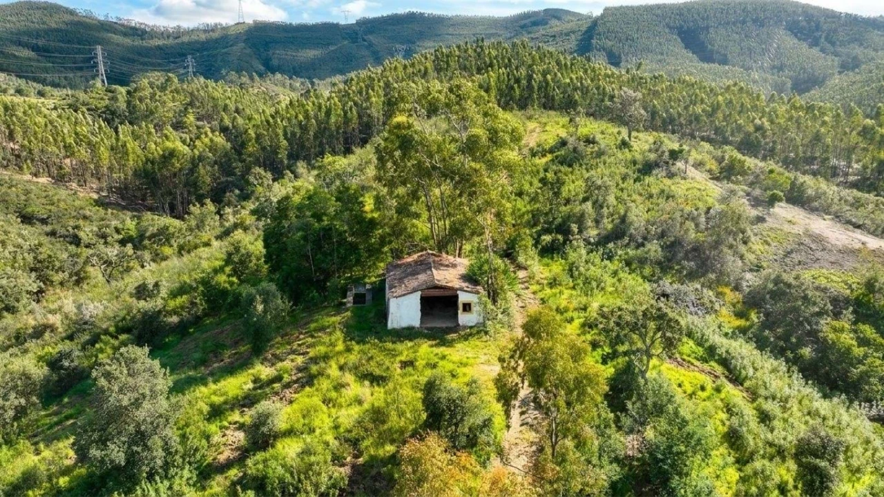 Quinta T2 para Venda em Saboia Foto 6