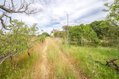 Quinta T3 para Venda em Aveiras de Baixo