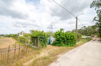 Quinta T3 para Venda em Aveiras de Baixo