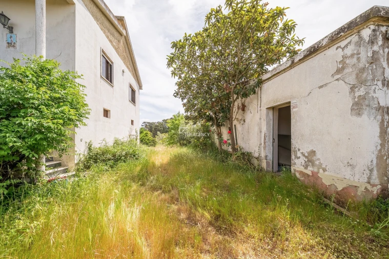Quinta T3 para Venda em Aveiras de Baixo Foto 17