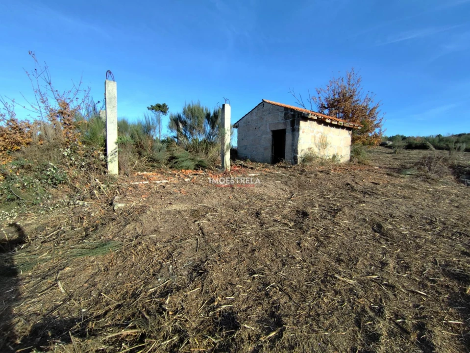 Terreno Agricola ou Rústico para Venda em Seixo da Beira Foto 7