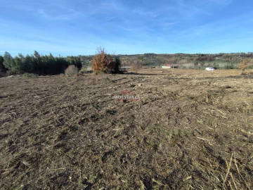 Terreno Agricola ou Rústico para Venda em Seixo da Beira