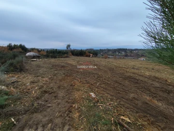Terreno Agricola ou Rústico para Venda em Seixo da Beira