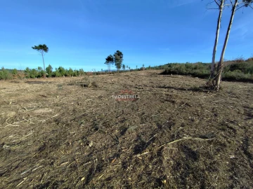 Terreno Agricola ou Rústico para Venda em Seixo da Beira