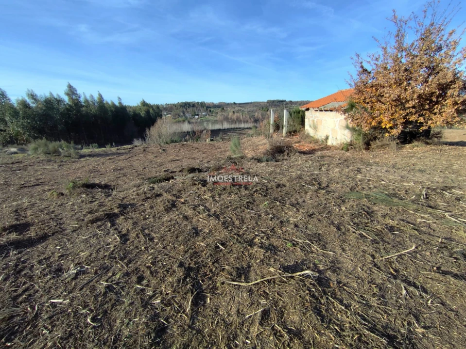 Terreno Agricola ou Rústico para Venda em Seixo da Beira Foto 10