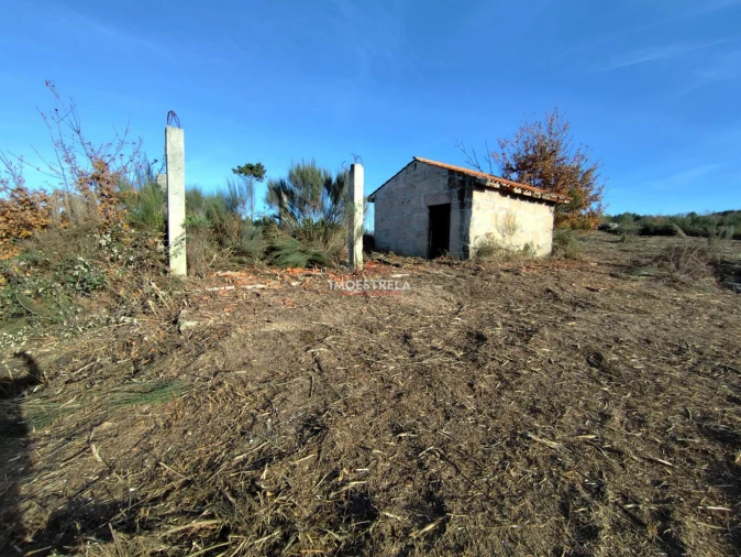 Terreno Agricola ou Rústico para Venda em Seixo da Beira