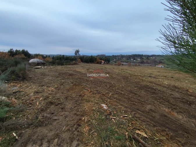 Terreno Agricola ou Rústico para Venda em Seixo da Beira Foto 11