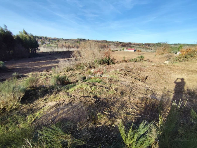 Terreno Agricola ou Rústico para Venda em Seixo da Beira Foto 6