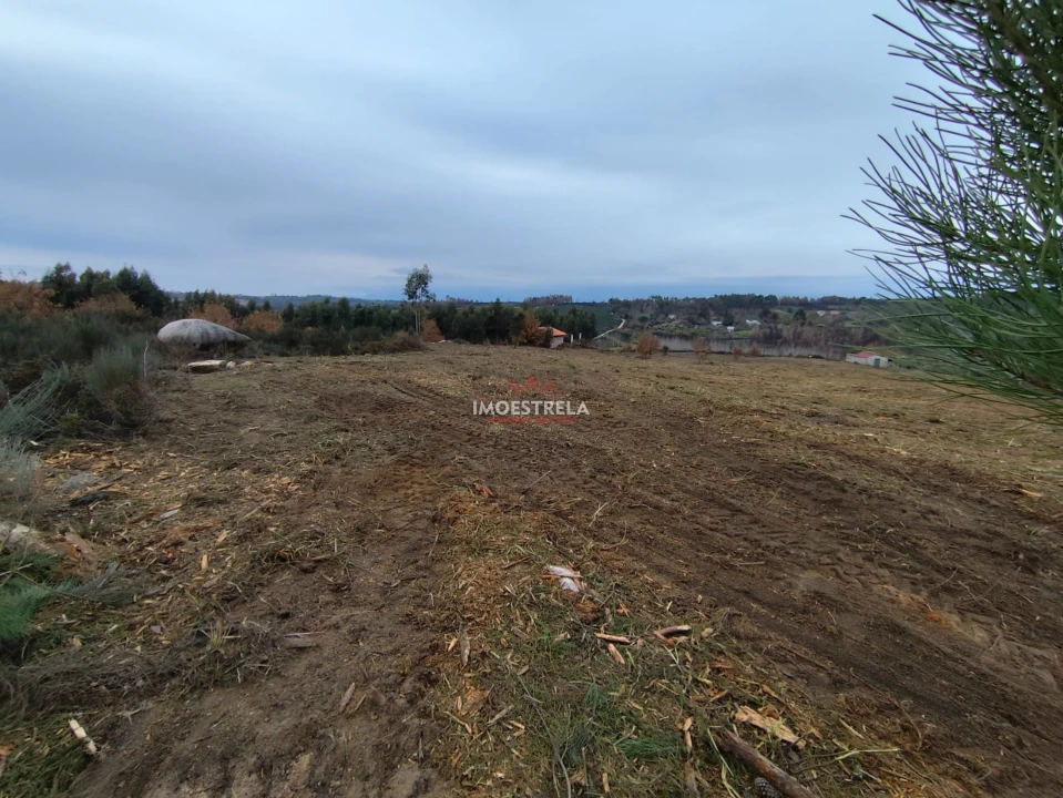 Terreno Agricola ou Rústico para Venda em Seixo da Beira Foto 11