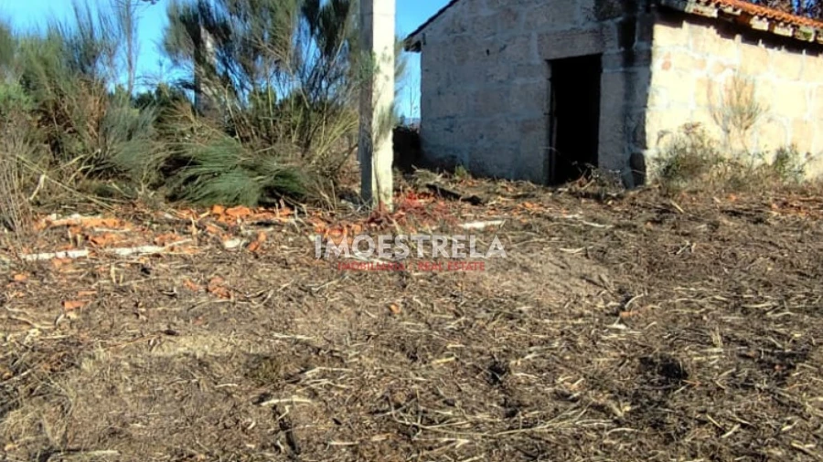 Terreno Agricola ou Rústico para Venda em Seixo da Beira