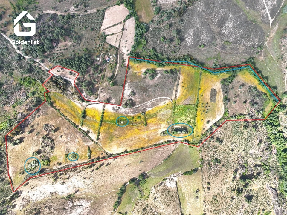 Terreno para Venda em Orca Foto 2
