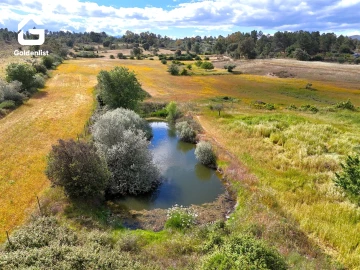 Terreno para Venda em Orca