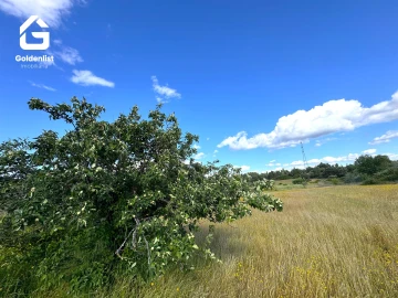 Terreno para Venda em Orca