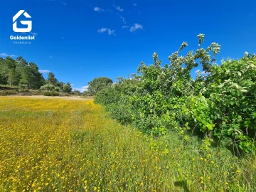 Terreno para Venda em Orca