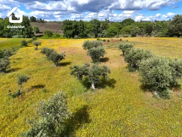 Terreno para Venda em Orca