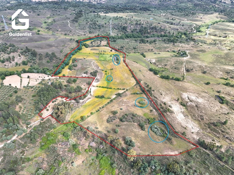 Terreno para Venda em Orca Foto 19
