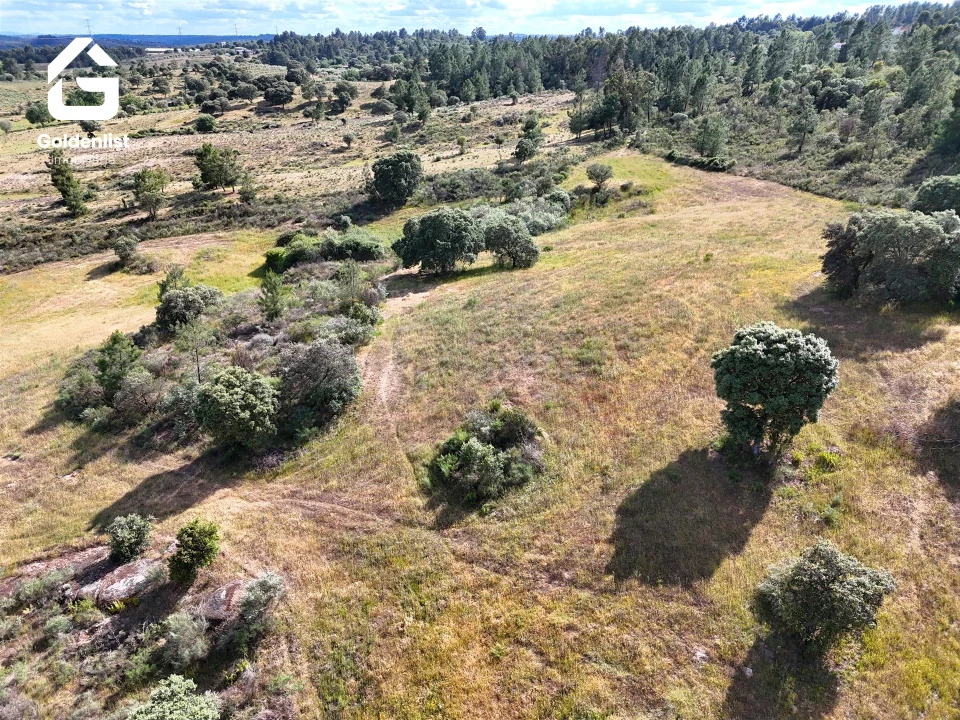Terreno para Venda em Orca Foto 30