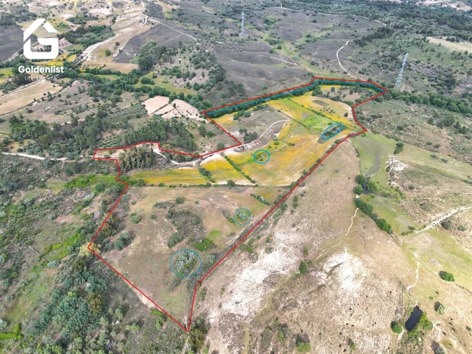 Terreno para Venda em Orca Foto 32