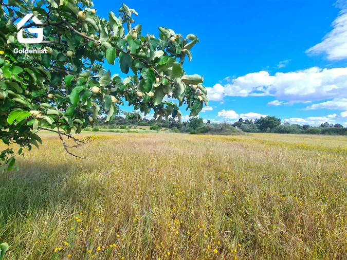 Terreno para Venda em Orca Foto 11
