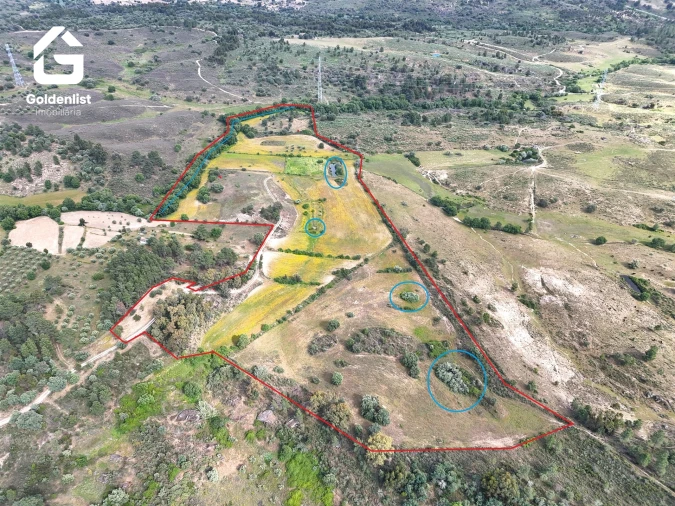 Terreno para Venda em Orca Foto 19