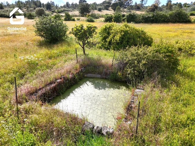 Terreno para Venda em Orca Foto 16