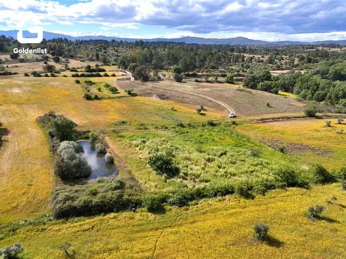 Terreno para Venda em Orca