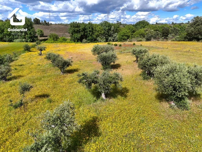 Terreno para Venda em Orca Foto 23