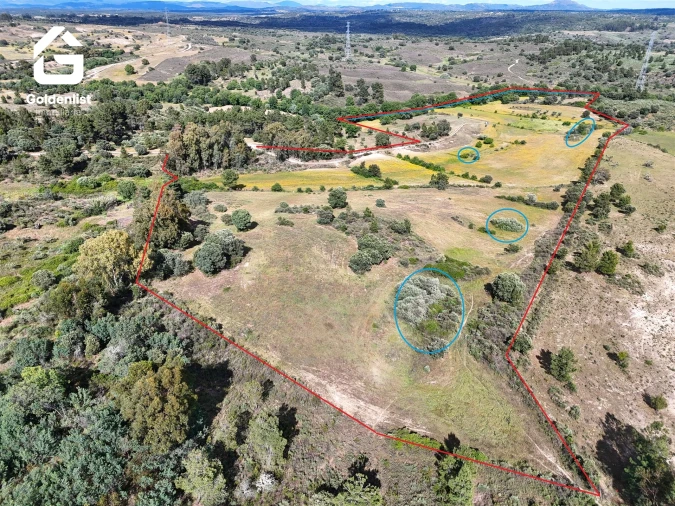 Terreno para Venda em Orca Foto 14