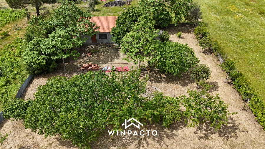 Terreno Agricola ou Rústico para Venda em Espinho Foto 10