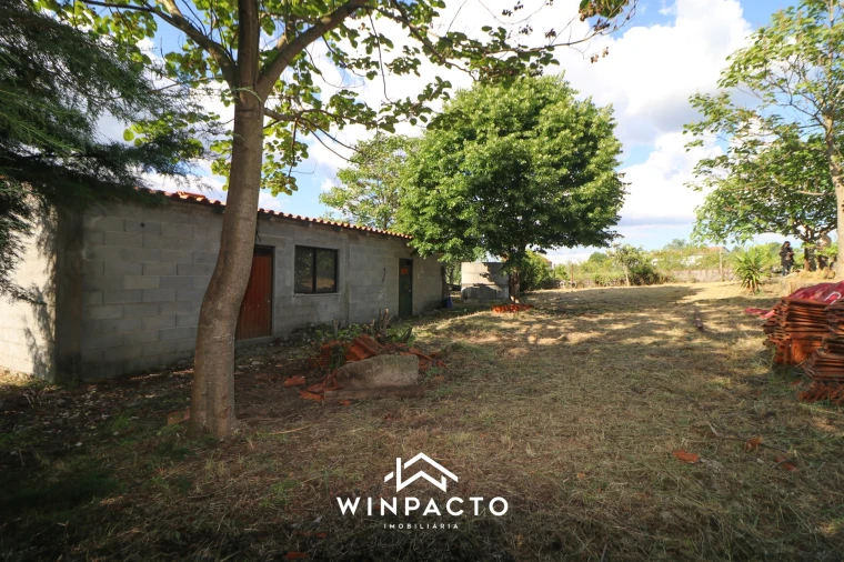 Terreno Agricola ou Rústico para Venda em Espinho Foto 18