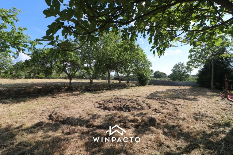 Terreno Agricola ou Rústico para Venda em Espinho Foto 20