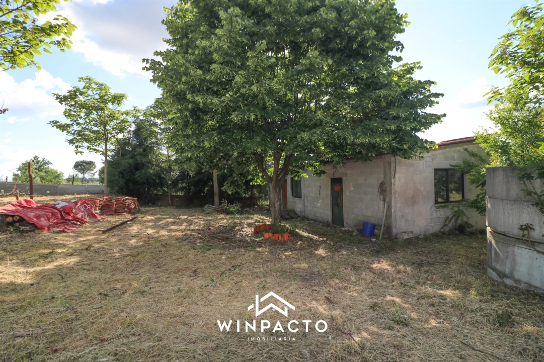 Terreno Agricola ou Rústico para Venda em Espinho Foto 15