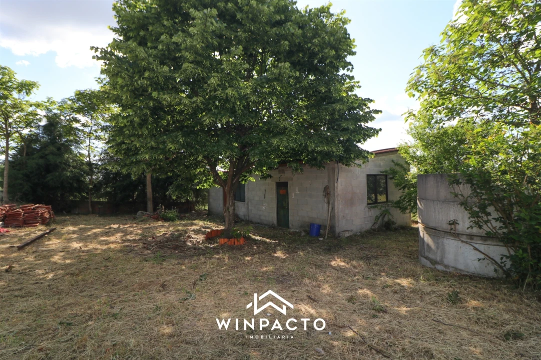 Terreno Agricola ou Rústico para Venda em Espinho Foto 19