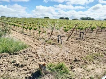 Terreno para Venda em Corval