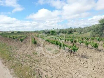 Terreno para Venda em Corval