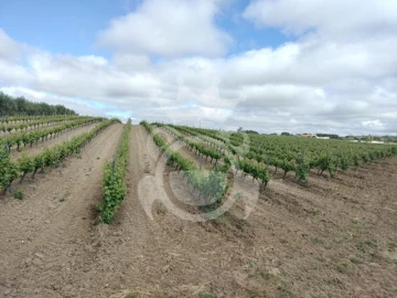 Terreno para Venda em Corval