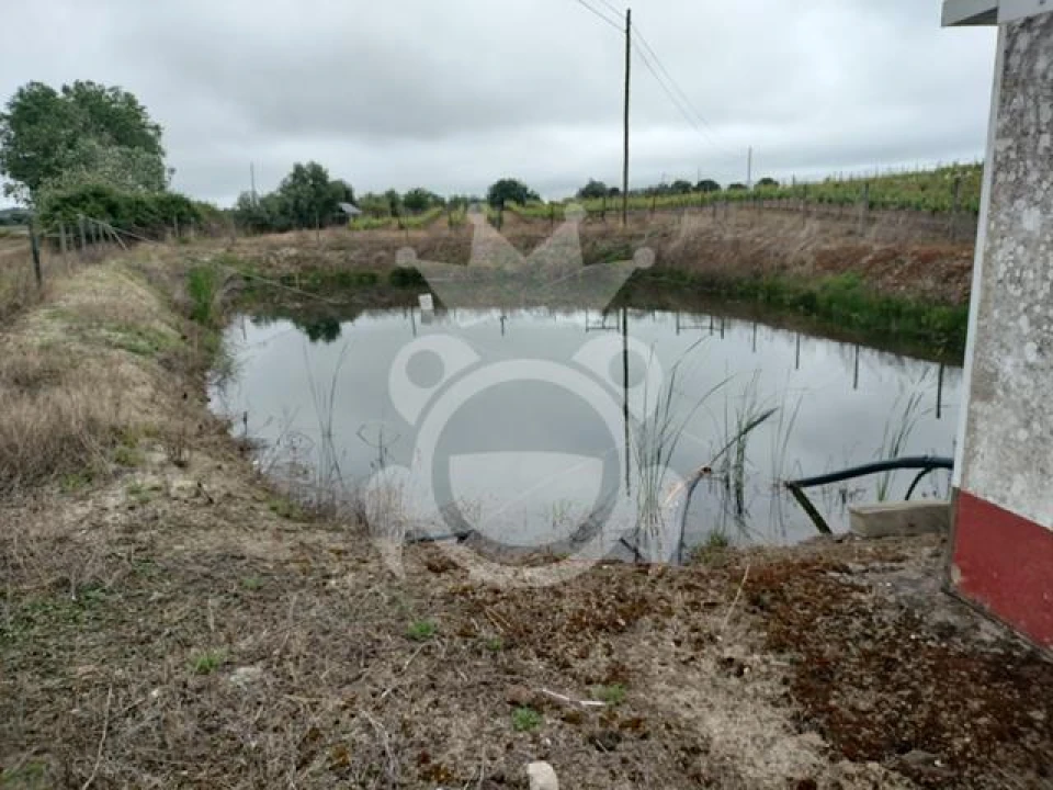 Terreno para Venda em Corval Foto 7