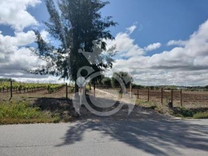 Terreno para Venda em Corval Foto 2