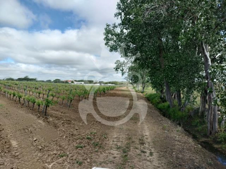 Terreno para Venda em Corval Foto 15