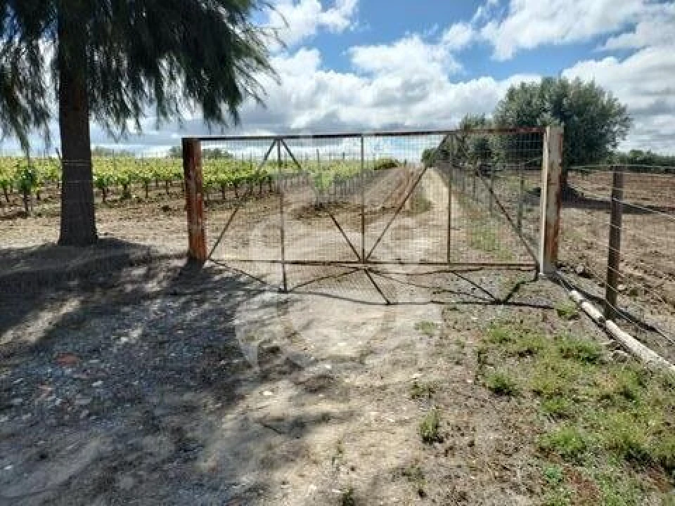 Terreno para Venda em Corval Foto 1