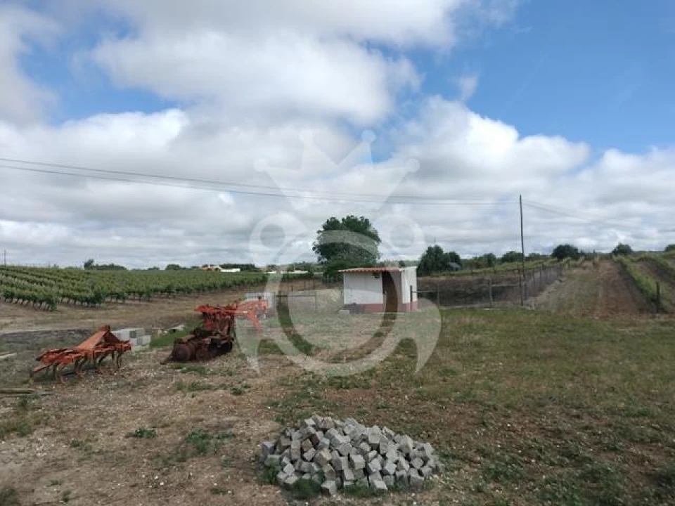 Terreno para Venda em Corval Foto 12
